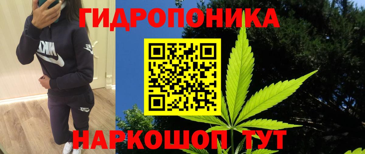 Лобня  Марихуана OG Kush  Вход с VPN  Шишки марихуана гибрид 